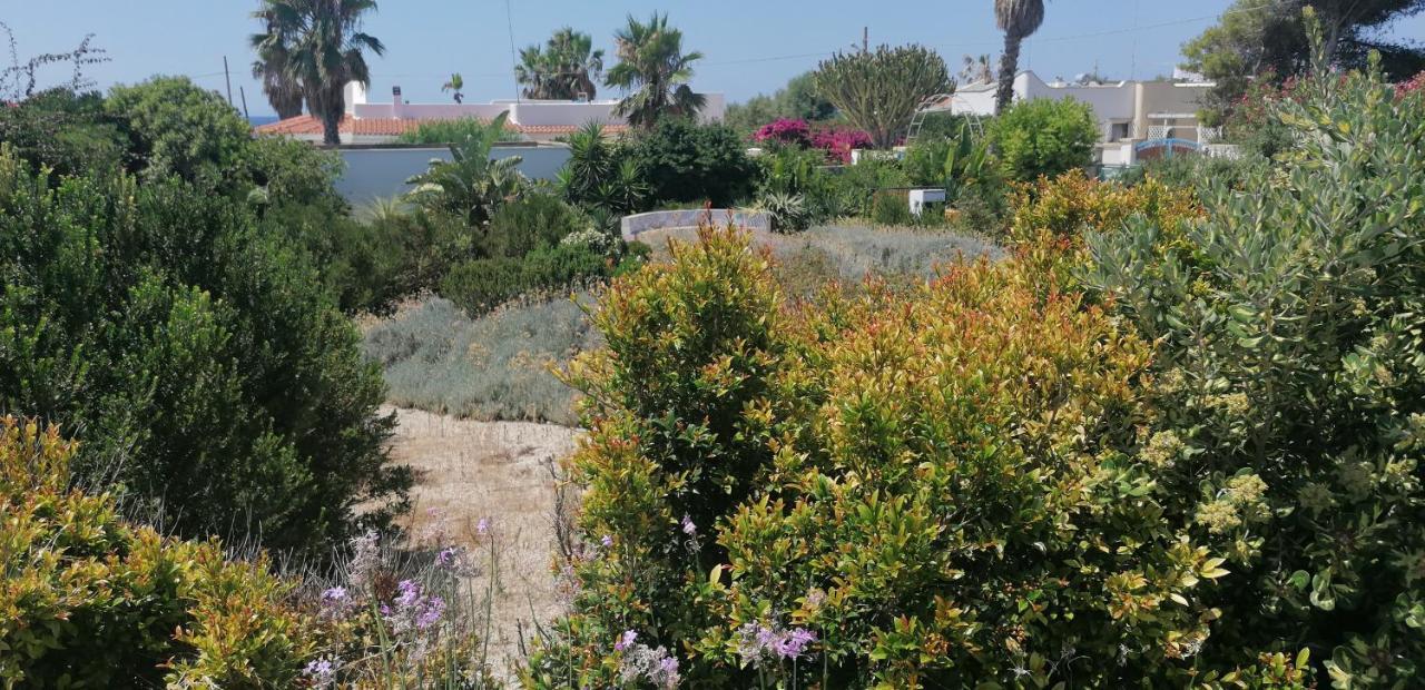 I Mirti - Home Holiday Marina di Mancaversa Exterior photo